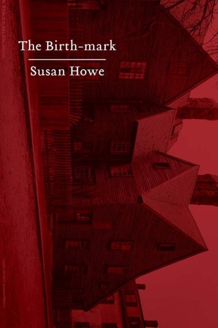 The Birth-mark - Essays