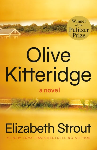Olive Kitteridge - Fiction
