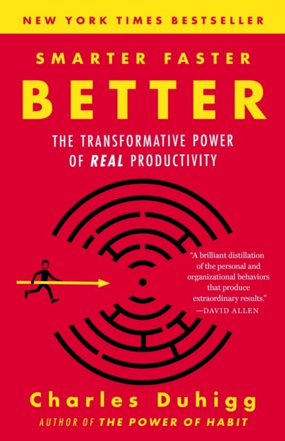 Smarter Faster Better - The Transformative Power of Real Productivity