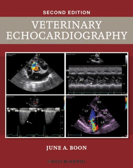 Bilde av Veterinary Echocardiography Av June A. (colorado State University Fort Collins Co) Boon