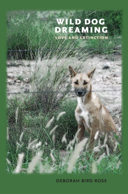 Wild Dog Dreaming - Love and Extinction
