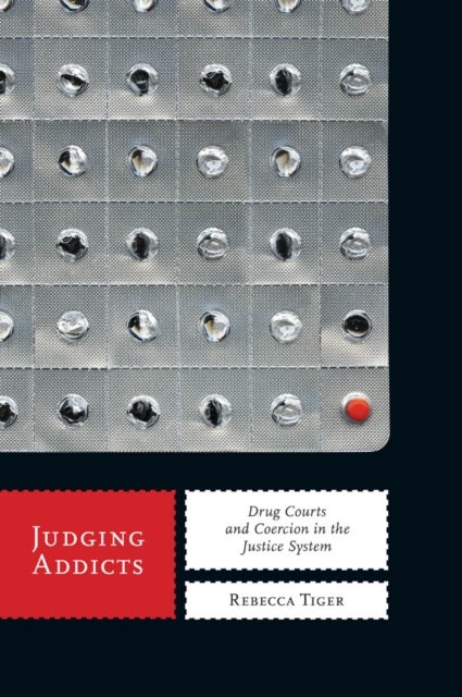 Judging Addicts - Drug Courts and Coercion in the Justice System