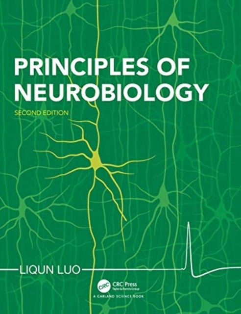 Bilde av Principles Of Neurobiology Av Liqun (professor Of Biology And Professor Of Neurobiology Department Of Biology At Stanford University) Luo