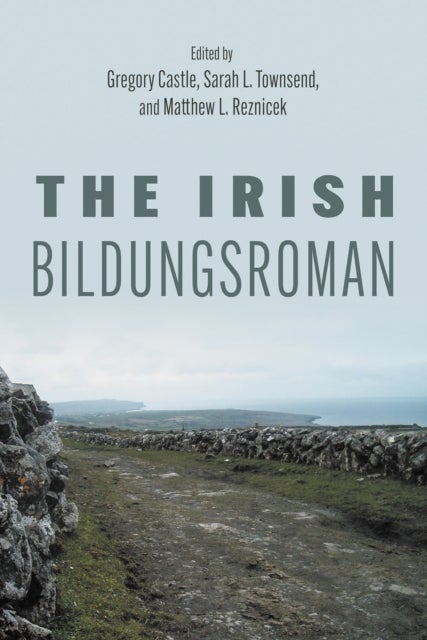 The Irish Bildungsroman