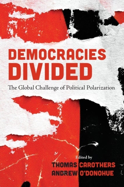 Bilde av Democracies Divided