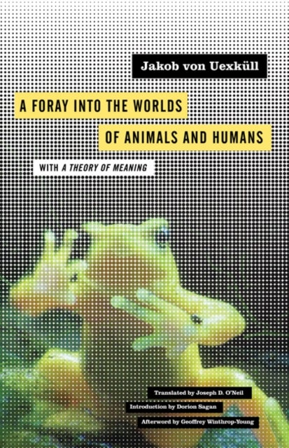 Bilde av A Foray Into The Worlds Of Animals And Humans Av Jakob Von Uexkull