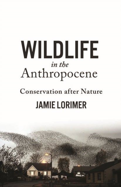 Bilde av Wildlife In The Anthropocene Av Jamie Lorimer