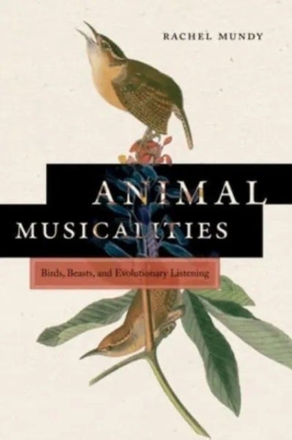 Animal Musicalities - Birds, Beasts, and Evolutionary Listening