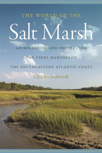 The World of the Salt Marsh - Appreciating and Protecting the Tidal Marshes of the Southeastern Atlantic Coast