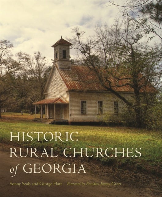 Bilde av Historic Rural Churches Of Georgia Av Sonny Seals, George Hart
