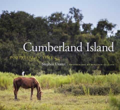 Cumberland Island - Footsteps in Time