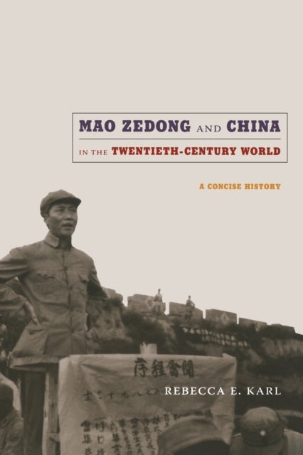 Mao Zedong and China in the Twentieth-Century World - A Concise History