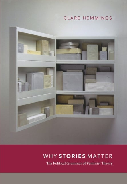 Why Stories Matter - The Political Grammar of Feminist Theory