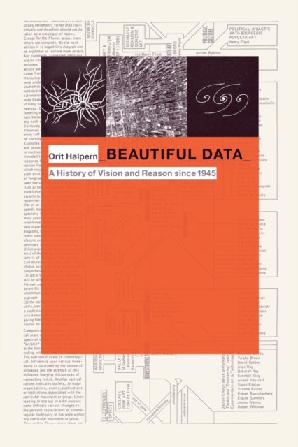 Beautiful Data - A History of Vision and Reason since 1945