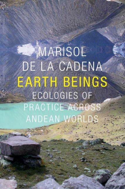 Earth Beings - Ecologies of Practice across Andean Worlds