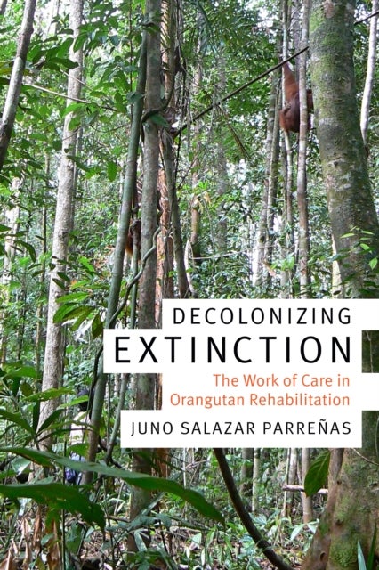 Decolonizing Extinction - The Work of Care in Orangutan Rehabilitation