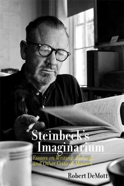 Steinbeck's Imaginarium - Essays on Writing, Fishing, and Other Critical Matters