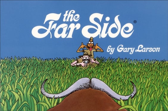 The Far Side¿