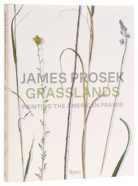 James Prosek Grasslands - Painting the American Prarie