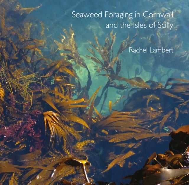 Bilde av Seaweed Foraging In Cornwall And The Isles Of Scilly