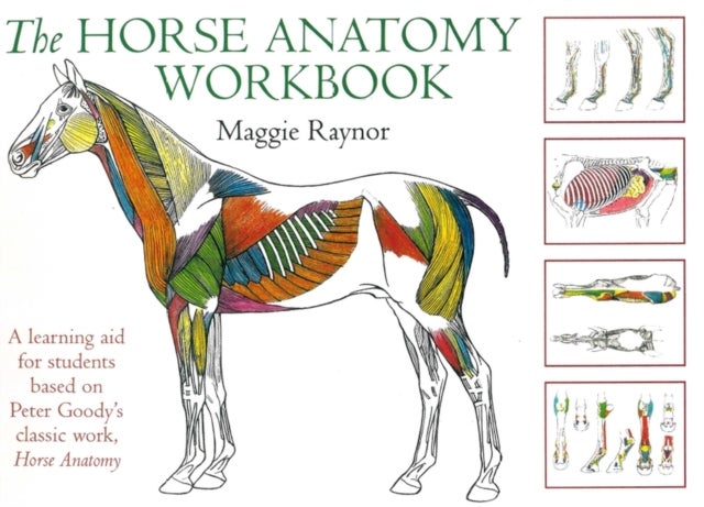 Horse Anatomy Workbook - A Learning Aid for Students Based on Peter Goody's Classic Work, Horse Anatomy