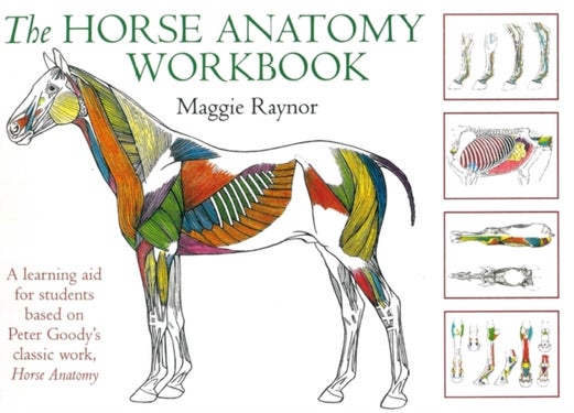 Horse Anatomy Workbook - A Learning Aid for Students Based on Peter Goody's Classic Work, Horse Anatomy