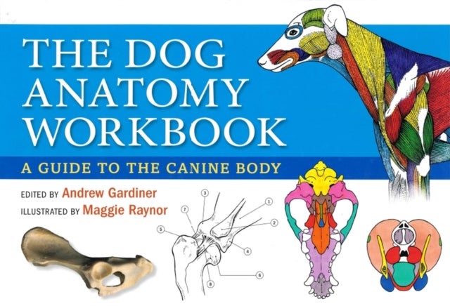 Dog Anatomy Workbook - A Guide to the Canine Body