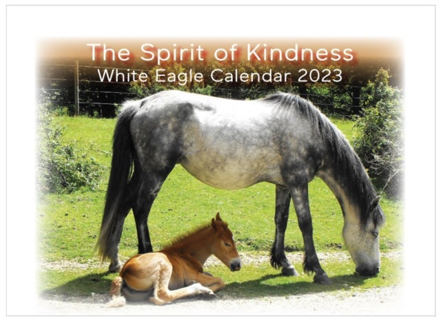 Bilde av The Spirit Of Kindness - White Eagle Calendar 2023 Av White Eagle