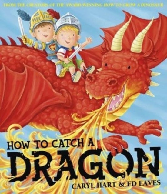 Bilde av How To Catch A Dragon Av Caryl Hart