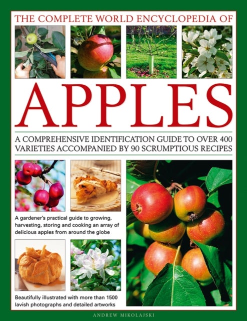 Bilde av The Complete World Encyclopedia Of Apples Av Andrew Mikolajski