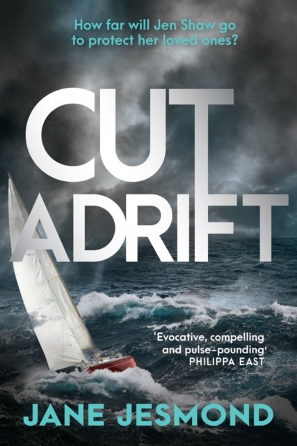 Cut Adrift - The Times Thriller of the Month - 'trimly steered and freighted with contemporary resonance'