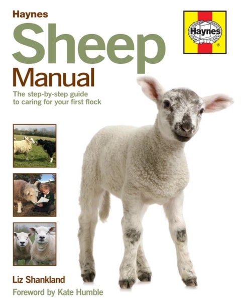 Sheep Manual - The complete step-by-step guide to caring for your flock