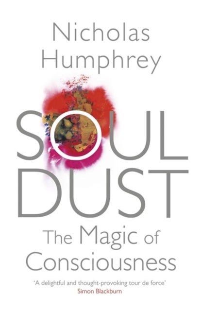 Soul Dust - The Magic of Consciousness