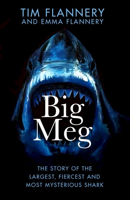 Big Meg - The Story of the Largest, Fiercest and Most Mysterious Shark