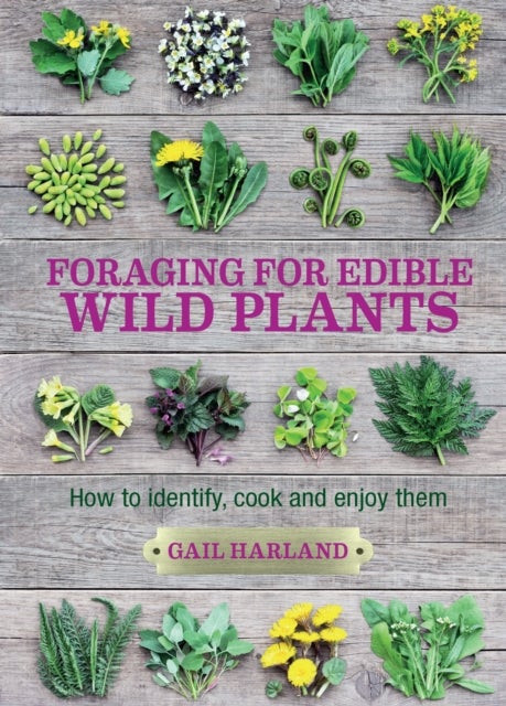 Bilde av Foraging For Edible Wild Plants Av Gail Harland
