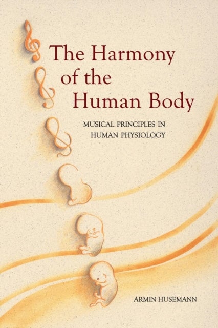 Bilde av The Harmony Of The Human Body Av Armin Husemann