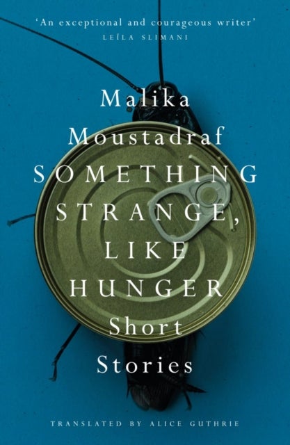 Something Strange, Like Hunger - Short Stories