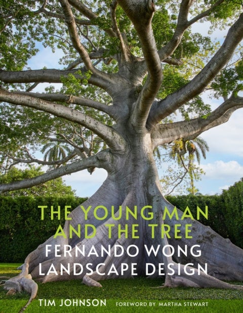 The Young Man and the Tree - Fernando Wong Landscape Design