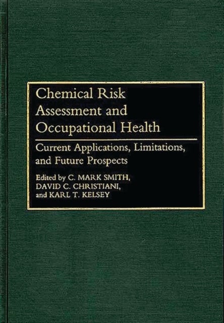 Bilde av Chemical Risk Assessment And Occupational Health