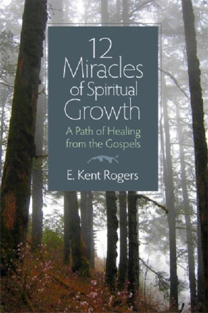 12 Miracles of Spiritual Growth - A Path of Healing from the Gospels