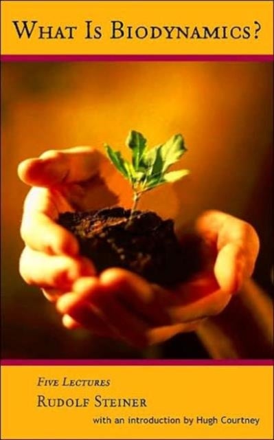 What is Biodynamics? - A Way to Heal and Revitalize the Earth