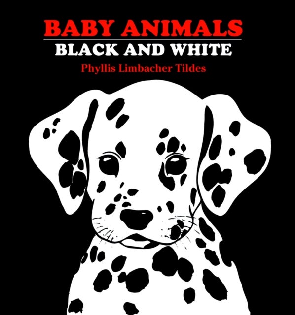 Bilde av Baby Animals Black And White Av Phyllis Limbacher Tildes