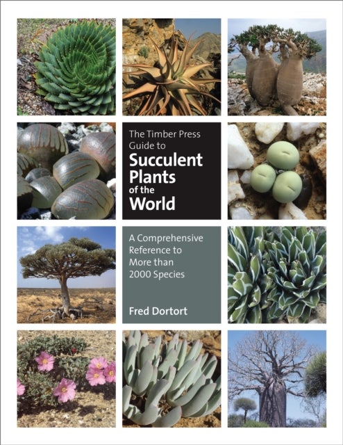 Bilde av The Timber Press Guide To Succulent Plants Of The World Av Fred Dortort