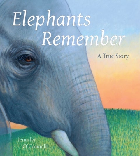 Elephants Remember - A True Story