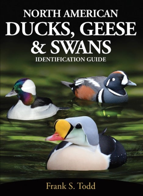 North American Ducks, Geese and Swans - identification guide