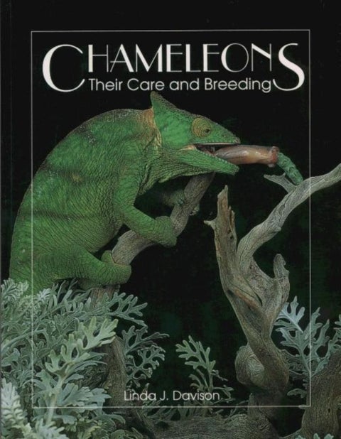 Chameleons - Their Care and Breeding