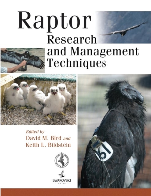 Bilde av Raptor Research And Management Techniques Av Keith L. Bildstein