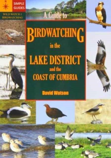 Bilde av A Guide To Birdwatching In The Lake District And The Coast Of Cumbria Av David Watson
