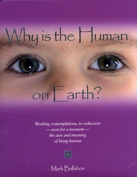 Why is the Human on Earth? - Working Contemplations