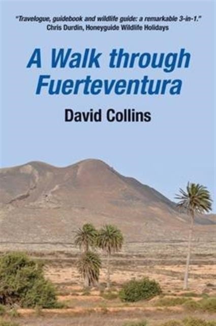 Bilde av A Walk Through Fuerteventura Av David Collins